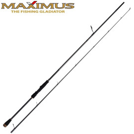 Спиннинг Maximus Resident Jig